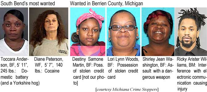 tocdiane.jpg South Bend's Most Wanted: Toccara Anderson, BF, 5'11", 245 lbs, domestic battery (and a Yorkshire hog); Diane Peterson, WF, 5'7", 140 lbs, cocaine; Wanted in Berrien County, Michigan: Destiny Samone Martin, BF, poss. of stolen credit card (not our photo); Lori Lynn Woods, BF, possession of stolen credit card; Shirley Jean Washington, BF, assault with a dangerous weapon; Rickey Arister Williams, BM, interference with electronic communication causing injury (Michiana Crime Stoppers)