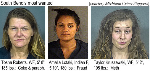 tosharob.jpg South Bend's most wanted: Tosha Roberts, WF, 5'8", 185 lbs, coke & paraph.; Amalia Lotaki, Indian F, 5'10", 180 lbs, fraud; Taylor Kruszewski, WF, 5'2", 105 lbs, meth (Michiana Crime Stoppers)