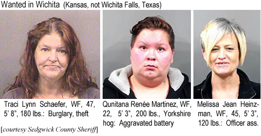 tracylyn.jpg Wanted in Wichita (Kansas, not Wichita Falls, Texas): Traci Lynn Schaeffer, WF, 47, 5'8", 180 lbs, burglary,theft; Quintana Renée Martinez, WF, 22, 5'3", 200 lbs, Yorkshire hog, aggravated battery; Melissa Jean Heinzman, WF, 45, 5'3', 120 lbs, officer ass. (Sedgwick County Sheriff)