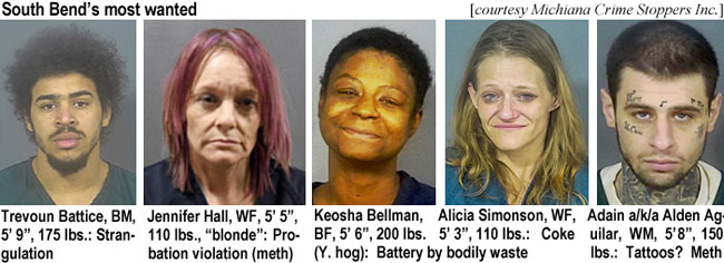 treyvoun.jpg South Bend's most wanted (Michiana Crime Stoppers Inc.): Treyvoun Battice, BM, 5'9", 175 lbs, strangulation; Jennifer Hall, WF, 5'5", 110 lbs, "blonde," probation violation (meth); Keosha Bellman, BF, 5'6", 200 lbs (Y. hog), battery by bodily waste; Alicia Simonson, WF, 5'3", 110 lbs, coke; Adain a/k/a Alden Aguilar, WM, 5'8", 150 lbs, tattoos? meth