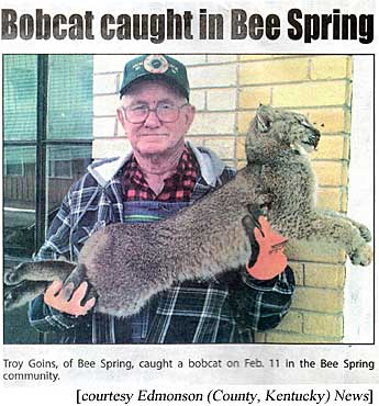 Bobcat caught in Bee Spring: Troy Goins, of Bee Spring, caught a bobcat on Feb. 11 in the Bee Spring community (Edmonson County, Kentucky, News)