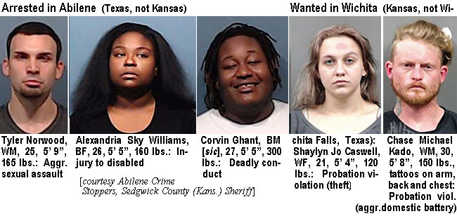 tynorwod.jpg Arrested in Abilene (Texas,not Kansas): Tyler Norwood, WM, 25, 5'9", 165 lbs, aggr. sexual assault; Alexandria Sky Williams, BF, 26, 5'5", 160 lbs, injury to disabled; Corvin Ghant, BM [sic], 27, 5'5", 300 lbs, deadly conduct; Wanted in Wichita (Kansas, not Wichita Falls, Texas): Shalyn Jo Caswell, WF, 21, 5'4", 120 lbs, probation violation (theft); Chase Michael Kado, WM, 30, 5'8", 150 lbs, tattoos oon arm, back & chest, probation viol. (aggr. domestic battery) (Abilene Crime Stoppers, Sedgwick County (Kans.) Sheriff)