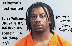 tyreewil.jpg Lexington's most wanted: Tyree Williams, BM, 24, 5'8", 165 lbs, absconding parole (burglary) (Bluegrass Crime Stoppers)