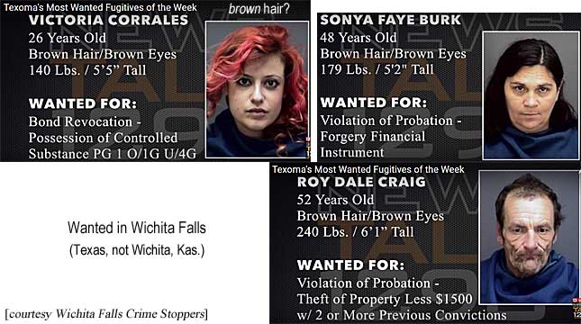 vicsonya.jpg Wanted in Wichita Falls (Texas, not Wichita, Kas.): Texoma's most wanted fugitives of the week: Victoria Corrales, 26, brown (?) hair & eyes, 140 lbs, 5'5", bond revocation, possessionof controlled substance pg 1 o/1g u/4g; Sonya Faye Burk, 48, brown hair & eyes, 179 lbs, 5'2", violation of probation, forgery financial instrument; Roy Dale Craig, 52, brown hair & eyes, 240 lbs, 6'1", violation of probation, theft of propety less $1,500 w/2 or more previous convictions)