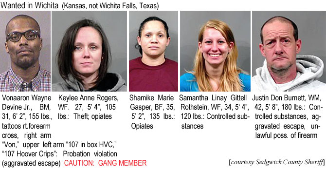 vonaaron.jpg Wanted in Wichita (Kansas, not Wichita Falls, Texas): Vonaaron Wayne Devine Jr., BM, 31, 6'2", 155 lbs, tattoos rt forearm cross, right arm "Von," upper left arm "107 in box HVC," "107 Hoover Crips", probation violation (aggravated escape, caution: gang member; Keylee Anne Rogers, WF, 27, 5'4", 105 lbs, theft; opiates; Shamika Marie Gasper, BF, 35, 5'2", 135 lbs, opiates; Samantha Linay Gittell Rothstein, WF, 34, 5'4", 120 lbs, controlled substances; Justin Don Burnett, WM, 42, 5'8", 180 lbs, controlled substances, aggravated escape, unlawful poss. of firearm (Sedgwick County Sheriff)
