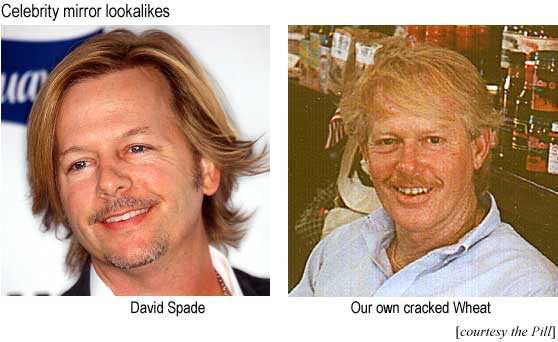 Celebrity mirror lookalikes: David Spade, and our own cracked Wheat (courtesy the Pill)