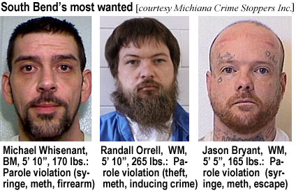 whisenan.jpg South Bend's most wanted (Michiana Crime Stoppers Inc.): Michael Whisenant, BM, 5'10", 170 lbs, parole violation (syringe, meth, firearm); Randell Orrell, WM, 5'10", 265 lbs, parole violation (theft, meth, inducing crime); Jason Bryant, WM, 5'5", 165 lbs, parole violation (syringe, meth, escape)