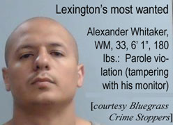 whitaker.jpg Lexington's most wanted: Alexander Whitaker, WM, 33, 6'1", 180 lbs, parole violation (tampering with his monitor) (Bluegrass Crime Stoppers)