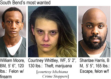 whittley.jpg South Bend's most wanted: William Moore, BM, 5'6", 120 lbs, felon w/firearm; Courtney Whittley, WF, 5'2", 130 lbs, theft, marijuana; Shantae Harris, BM, 5'5", 165 lbs, escape, felon w/f (Michiana Crime Stoppers)