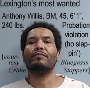 willsant.jpg Lexington's most wanted: Anthony Willis, BM, 45, 6'1", 240 lbs, probation violation (ho slappin') (Bluegrass Crime Stoppers)