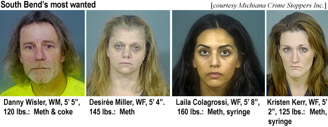 wislerdn.jpg South Bend's most wanted (Michiana Crime Stoppers Inc.): Dan Wisler, WM, 5'5", 120 lbs, meth & coke; Desirée Miller, WF, 5'4", 145 lbs, meth; Laila Colagrossi, WF, 5'8", 160 lbs, meth, syringe; Kristen Kerr, WF,5'2", 125 lbs, meth, syringe