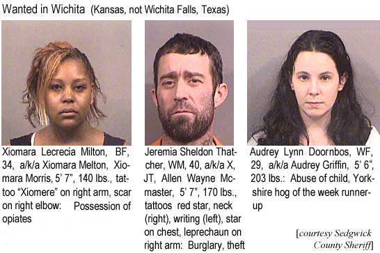 xiomaral.jpg Wanted in Wichita (Kansas, not Wichita Falls, Texas): Xiomara Lucrecia Milton, BF, 34, a/k/a Xiomara Melton, Xiomara Morris, 5'7", 140 lbs, tattoo "Xiomere" on right arm, scar on right elbow, possession of opiates; Jeremia Sheldon Thatcher, WM, 40, a/k/a X, JT, Allen Wayne Mcmaster, 5'7", 170 lbs, tattoos red star, neck (right), writing (left), star on chest, leprechaun on right arm, burglary, theft; Audrey Lynn Doornbos, WF, 29, a/k/a Audrey Griffin, 5'6", 203 lbs, abuse of child, Yorkshire hog of the week runner-up (Sedgwick County Sheriff)