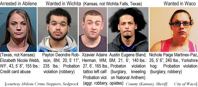 xzaviera Arrested in Abilene (Texas, not Kansas): Elizabeth Nicole Webb, WF, 43, 5'8", 155 lbs, crredit card abuse; Payton Deondre Robison, BM, 20, 5'11", 235 lbs, probation violation (robbery); Xzavier Adaire Hermanh, WM,  27, 6', 165 lbs, tattoo left calf, probation viol. (aggr. robbery, opiates); Austin Eugene Bland, BM, 21, 6', 140 bs, probation violation (burglary, kneeling on National Anthem); Nichole Paige Martinez-Paz, 26, 5'6", 240 lbs, Yorkshire hog, probation violation (burglary, robbery) (Abilene Crime Stoppers, Sedgwick County (Kansas) Sheriff, City of Waco)