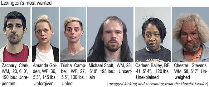 zachaman.jpg Lexington's most wanted: Zachary Clark, WM, 20, 6'0", 190 lbs, unrepentant; Amanda Golden, WF, 36, 5'3", 145 lbs, unforgiven; Trisha Campbell, WF, 27, 5'5", 100 lbs, unfed; Michael Scott, WM, 28, 6'0", 195 lbs, uncertain; Carleen Bailey, BF, 41, 5'4", 120 lbs, unexplained; Chester Stevens, WM, 58, 5'7", unweighed (dragged kicking and screaming from the Herald-Leader)