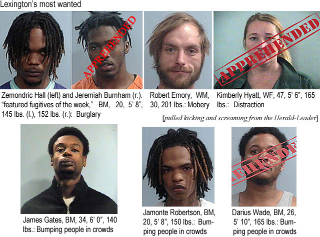 zemondri.jpg Lexington's most wanted: Zemondric Hall (left) and Jeremiah Burnham (r.), "featured fugitives of the week," BM, 20, 5'8", 145 lbs (l), 152 lbs (r), burglary; Robert Emory, WM, 30, 201 lbs, mobery; Kimberly Hyatt, WF, 47, 5'6", 165 lbs, distraction; James Gates,BM, 34, 6'0", 140 lbs, bumping people in crowds ; Jamonte Robertson, BM, 20, 5'8", 150 lbs, bumping people in crowds ; Darius Wade, BM, 26, 5'10", 165 lbs, bumping people in crowds (pulled kicking & screaming from the Herald-Leader)