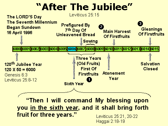 Then I will command my blessing upon you in the sixth year, and it shall bring forth fruit for three years (Leviticus 25:21).