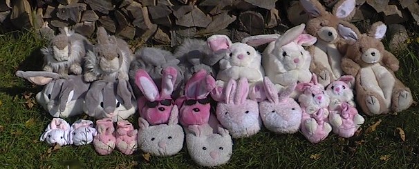 Sandy's Bunny Slipper Collection