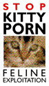 Stomp Out Kitty Porn Now (jokesite)