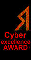 Cyber Excellence Award