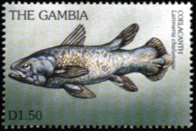 Gambia.gif - 42874 Bytes