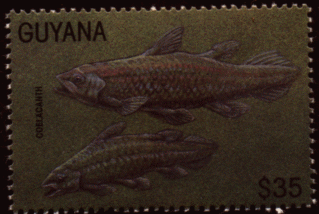 Guyana3.gif - 44755 Bytes