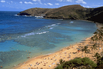 Breathtaking view of Hanauma Bay where the fish actually swim up to you.  You'll see the same incredible collection in three feet of water that you do at 50 feet!!!