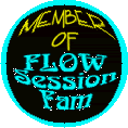 Flow Session