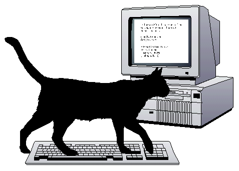 Cat On Keyboard