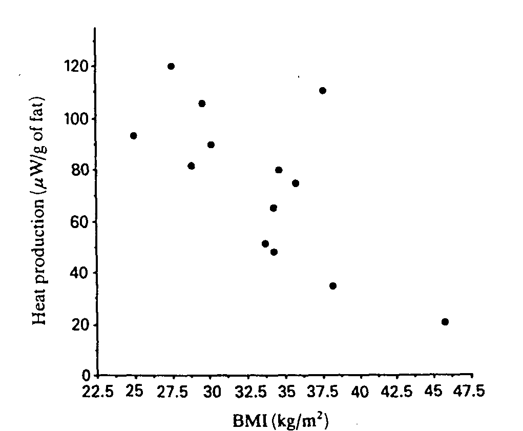 fig1.gif (8250 bytes)