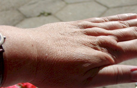 Hand-1.jpg (37629 bytes)