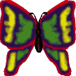 BUTTERFLY 2