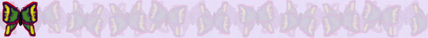 FULL SIZED BUTTERFLY BACKGROUND 1