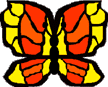 ORANGE BUTTERFLY