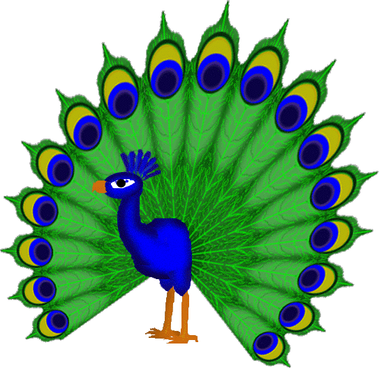 PEACOCK