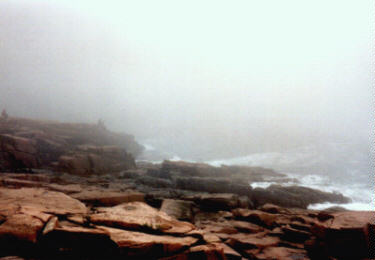 Foggy Coast