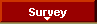  Survey 