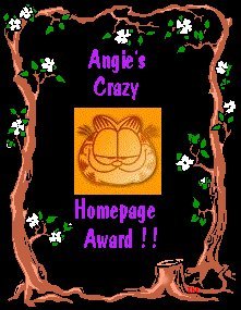 Angie's Crazy Homepage Award