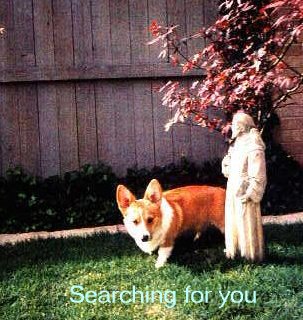Searching for you!