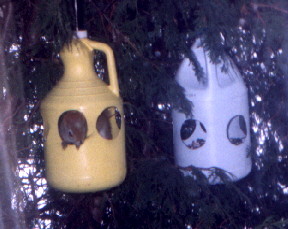 No birds will get in this feeder with Mr. Squirrel there