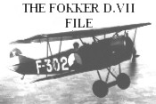 Everything you want to know about the Fokker D.VII !