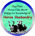 Equi-Teen horse husbandry award