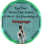 Equi-Teen dressage Award