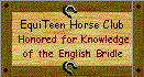 Equi-Teen English Bridle Award