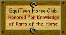 Equi-Teen Parts of the Horse award