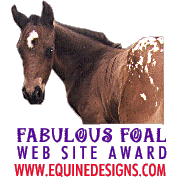 Eqine Designs Fabulous Foal Award