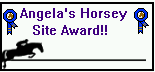 Angela's Horsey Site Award