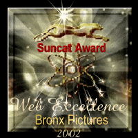 Suncat Award of Web  Excellence