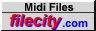 Flie city for Midi