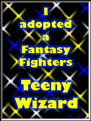 I adopted a teeny wizard from the Fantasy Fighters