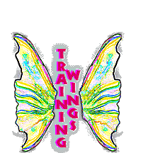 My training wings!
